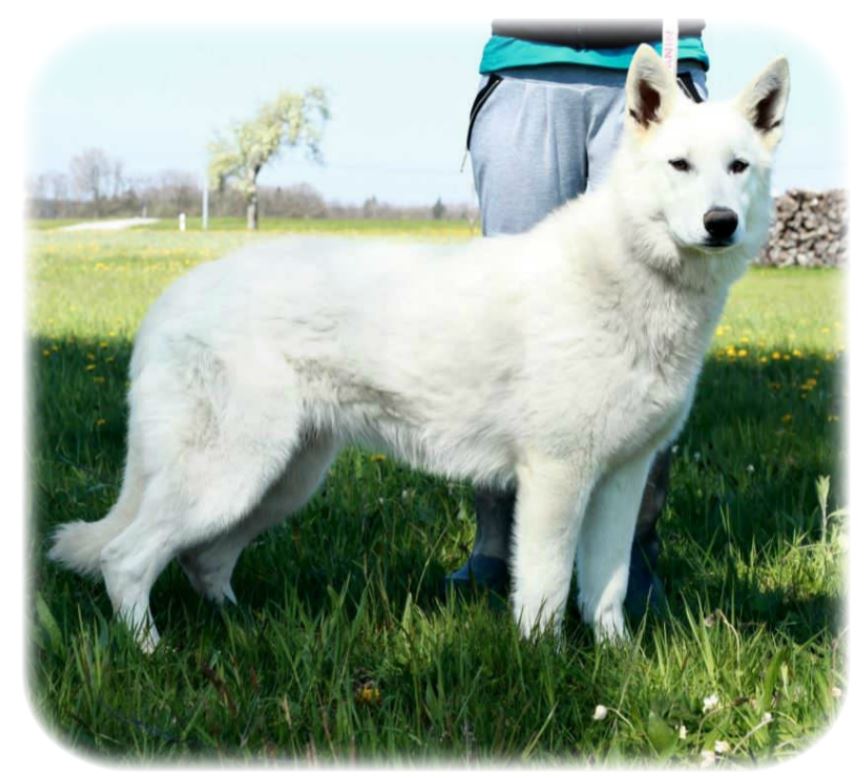 Nala du Domaine de Criska