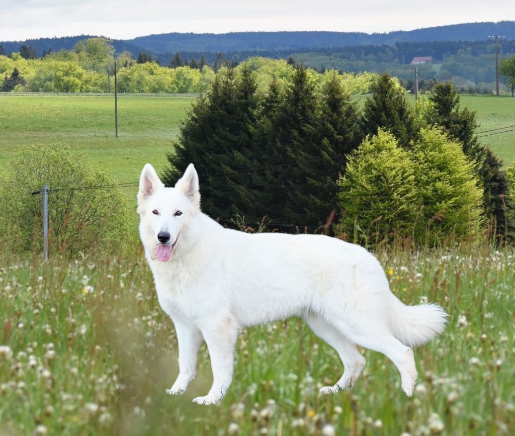Toscane du Domaine de Criska