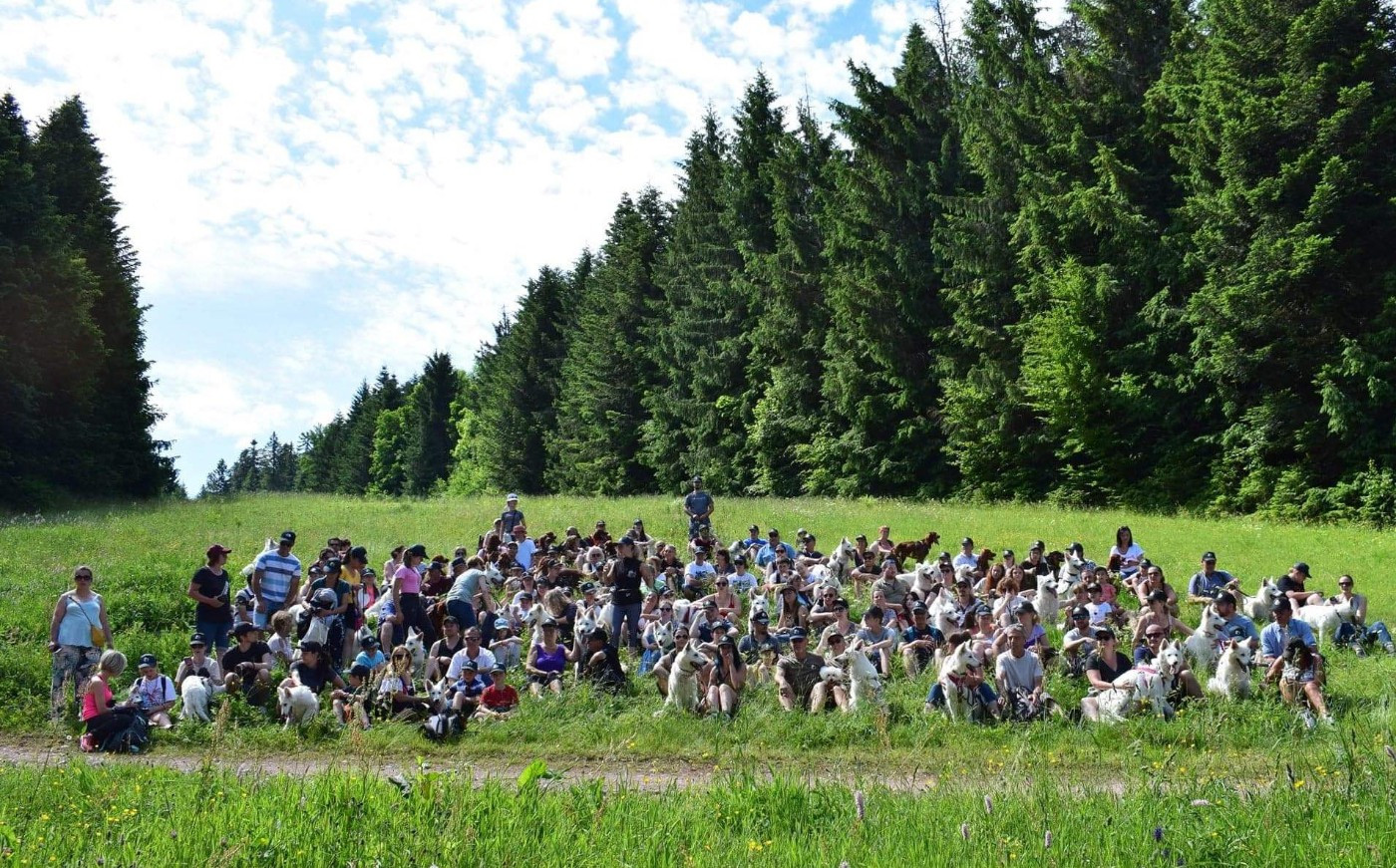 du Domaine de Criska - 5 Juillet 2026 cousinade :)