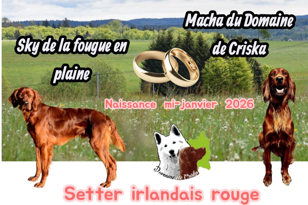 Naissance Janvier 2026