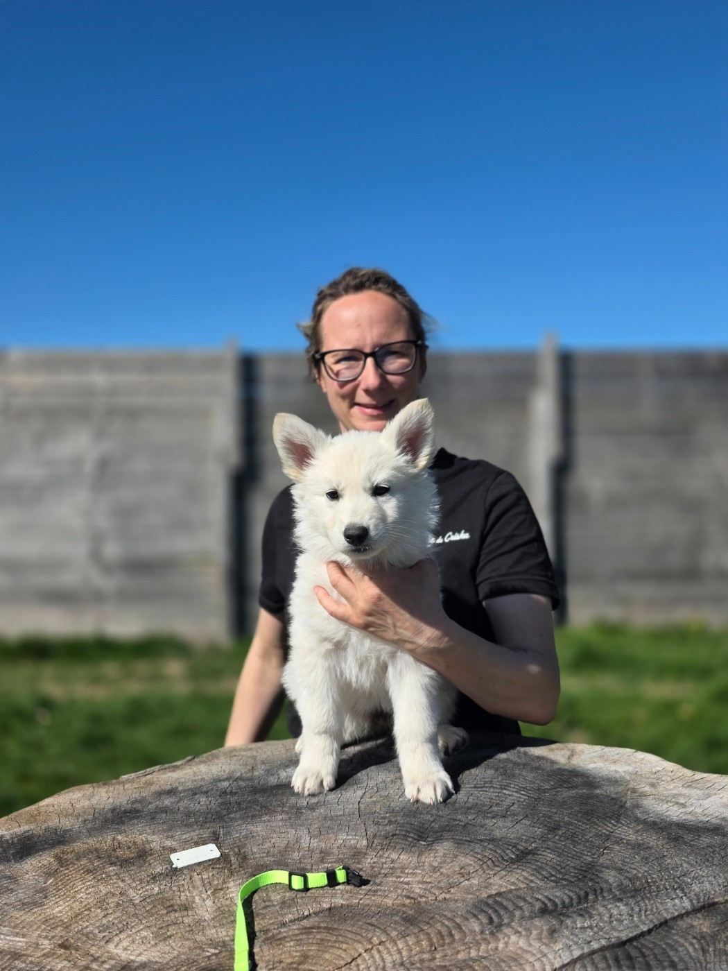 du Domaine de Criska - Chiots disponibles - Berger Blanc Suisse